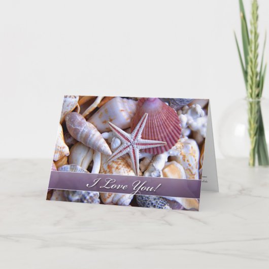 クラムシェルカードが大好き シーズンカード (正面)