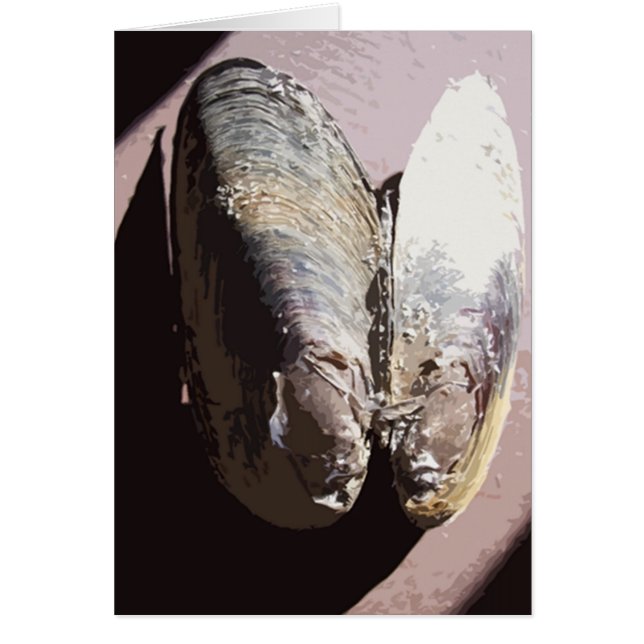 クラムシェルバタフライアート (正面)