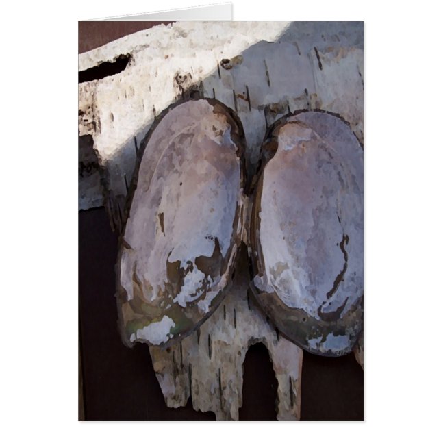 クラムシェル翼 (正面)