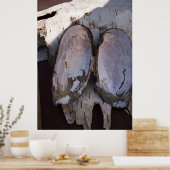 クラムシェル翼 ポスター (キッチン)