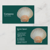 クラムシェル 名刺 (正面/裏面)