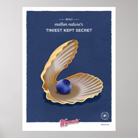 クラムシェルWBB ポスター (正面)