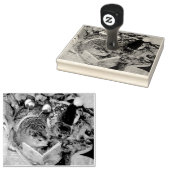 クララとマウドグラウンドホッグのクリスマスゴム印 ラバースタンプ (押印)