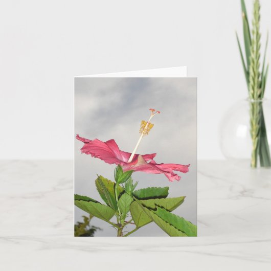 クラリオン カード (正面)