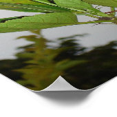 クラリオン ポスター (角)