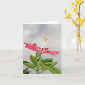 クラリオンv2 カード (黄色い花)