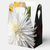 クラリカ フェイバーボックス (オープン)