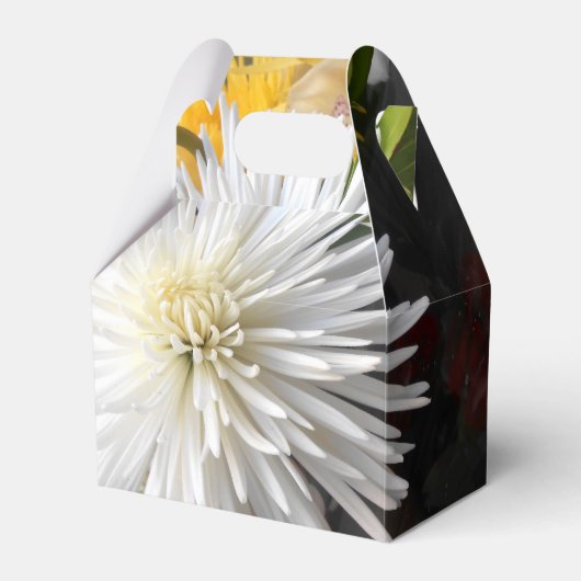 クラリカ フェイバーボックス (正面サイド)