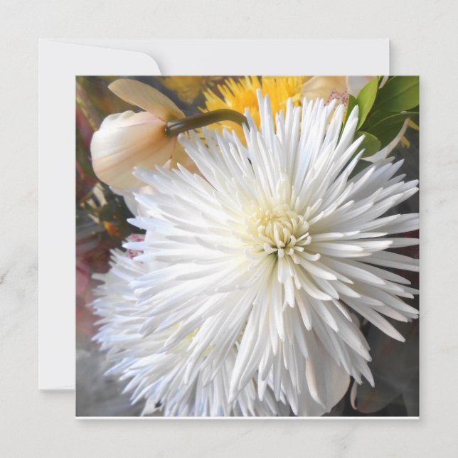 クラリシア (正面)