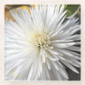 クラリシア ガラスコースター (正面)