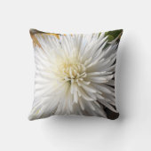 クラリシア クッション (裏面)