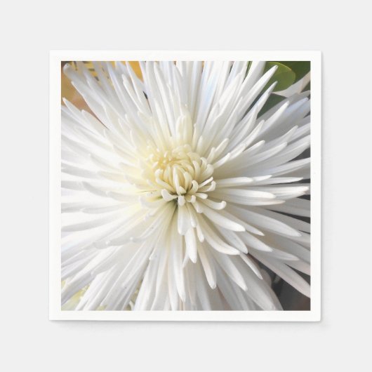 クラリシア スタンダードカクテルナプキン (正面)