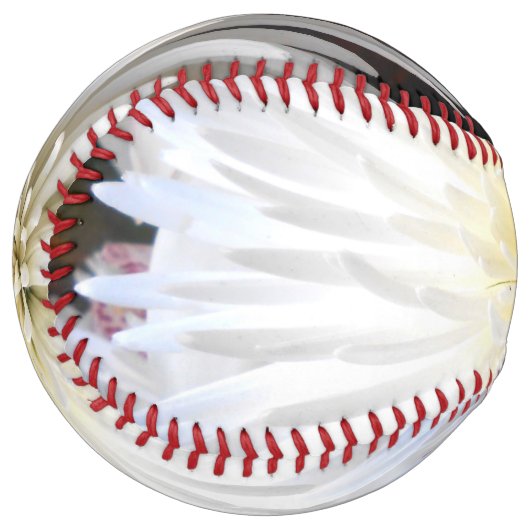 クラリシア ソフトボール (正面左)