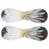 クラリシア ソフトボール (パネル)