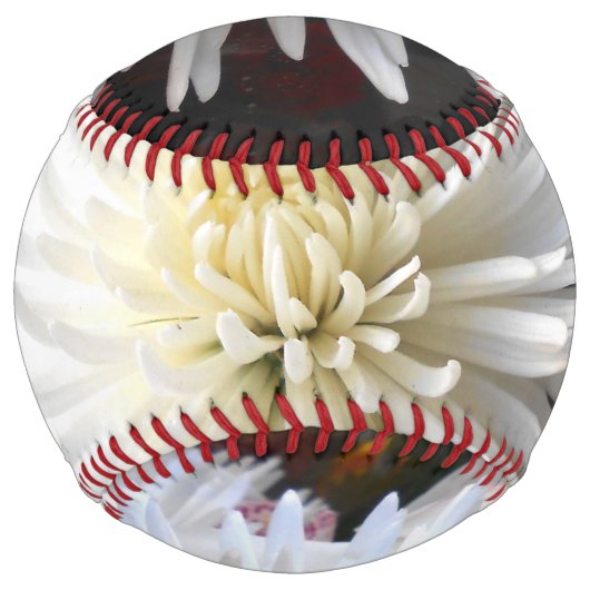 クラリシア ソフトボール (正面)