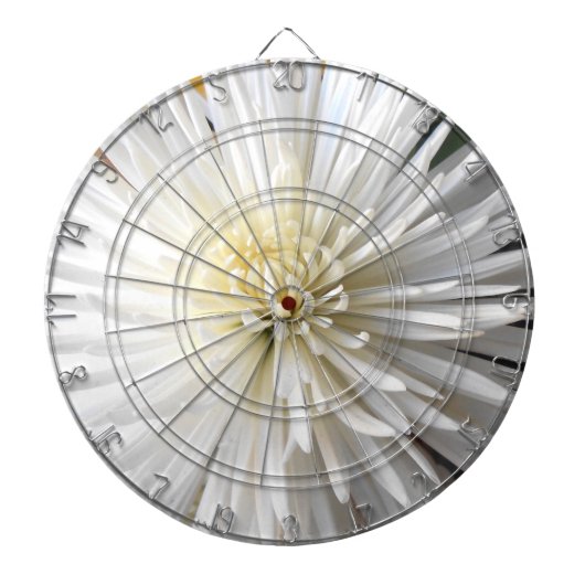 クラリシア ダーツボード (正面)