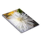 クラリシア ノートブック (右側)