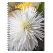 クラリシア ノートブック (正面)