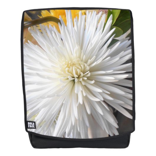 クラリシア バックパック (正面)