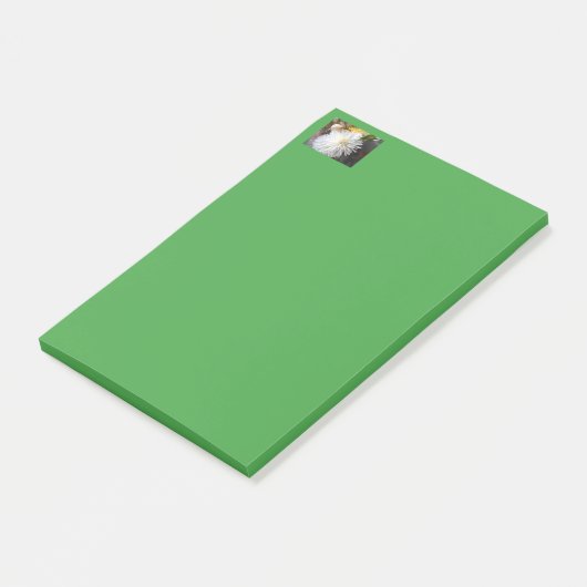 クラリシア ポストイット (アングル)