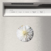 クラリシア マグネット (インサイチュ (食洗機))