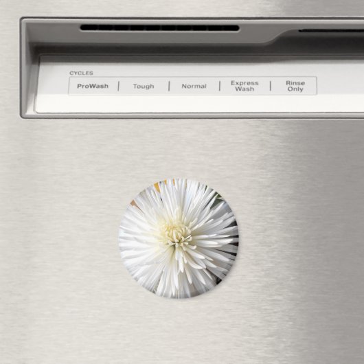 クラリシア マグネット (インサイチュ (食洗機))