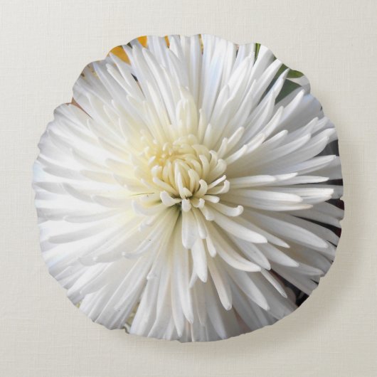 クラリシア ラウンドクッション (正面)