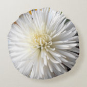 クラリシア ラウンドクッション (裏面)