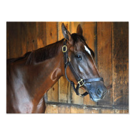 クラリナ フォトプリント           