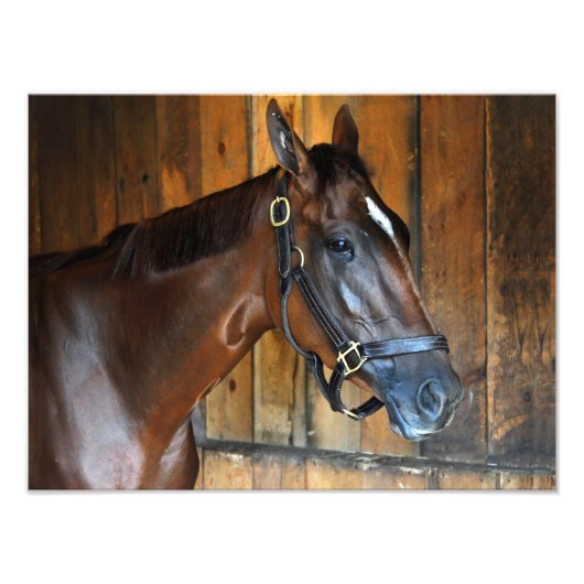 クラリナ フォトプリント            (正面)