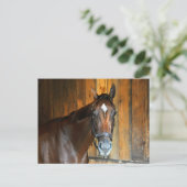 クラリナ ポストカード (スタンド正面)