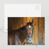 クラリナ ポストカード (正面/裏面)