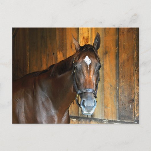 クラリナ ポストカード (正面)