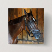 クラリナ 缶バッジ (正面)