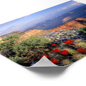 クラレット杯サボテン（アリゾナ） ポスター (角)