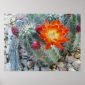 クラレット杯 ポスター (正面)