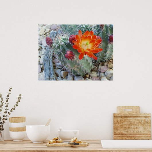 クラレット杯 ポスター (キッチン)