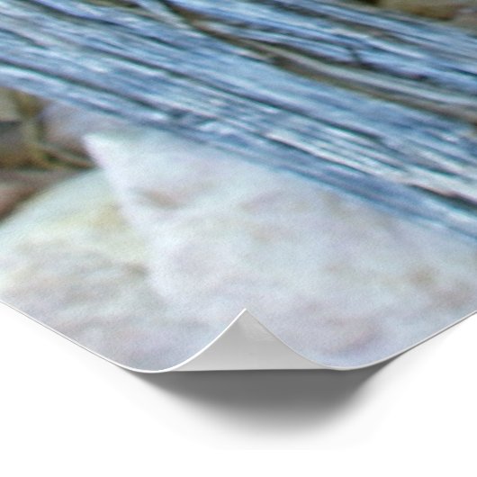 クラレット杯 ポスター (角)