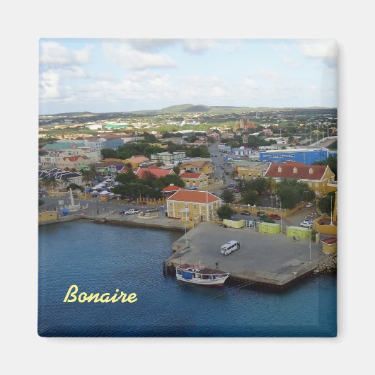 クラレンダイク・ハルボルフロント マグネット (正面)