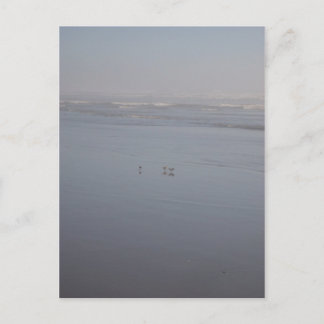 クラロッホ&バード ポストカード