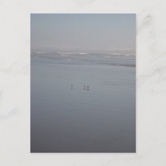 クラロッホ&バード ポストカード (正面)