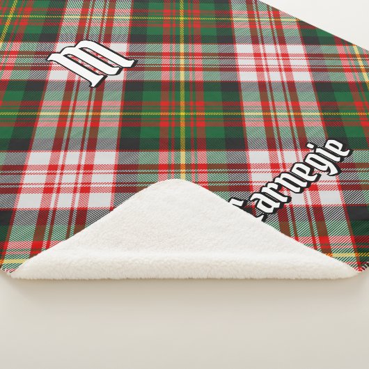 クランカーネギードレスタータンチェック シェルパブランケット (3/4)