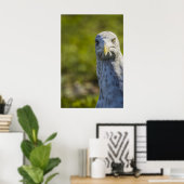 クランキーオールドシーガル(独自の文字を追加) ポスター (ホームオフィス)