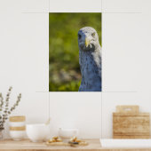 クランキーオールドシーガル(独自の文字を追加) ポスター (キッチン)