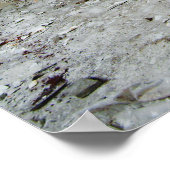 クランケンジマー ポスター (角)