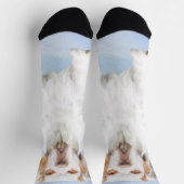 クランバースパニエル犬絵画ズ – かわいいオリジナルドッグアート ソックス (上部)