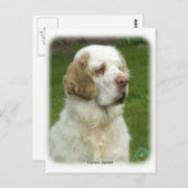 クランバースパニエル犬9Y003D-101 ポストカード (正面/裏面)