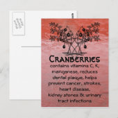 クランベリーのはがき ポストカード (正面/裏面)