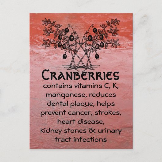 クランベリーのはがき ポストカード (正面)