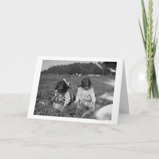 クランベリーの写真を選んでいる若い女の子 カード (正面)